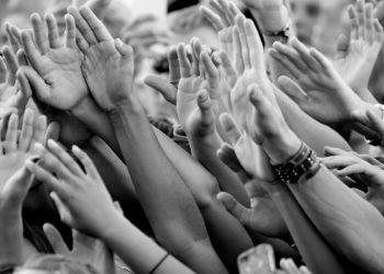 Venezuela, cultura y libertad de los pueblos. Intelectuales a la vanguardia