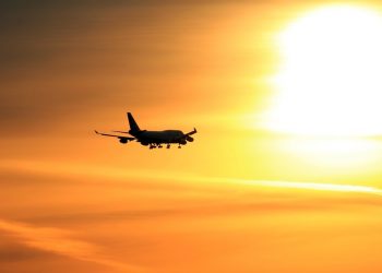 Ya de vuelta en casa