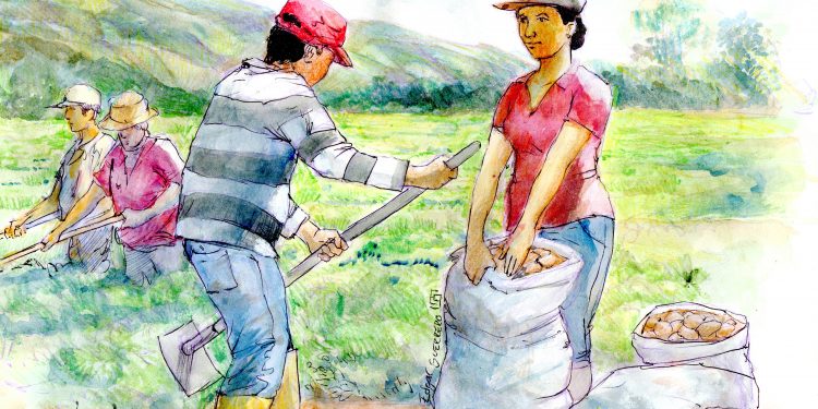 Mérida: Comunas  y Soberanía
