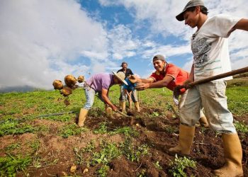 Jornada de vacunación covid-19 centro centinelas de Guárico