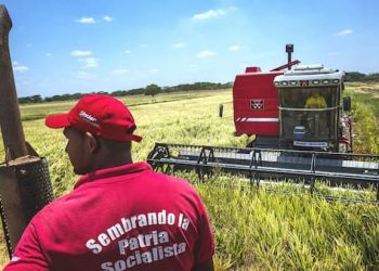 Venezuela-agricultura