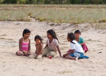 Pueblos originarios y desarrollo sostenible en socialismo