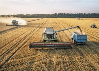 En Europa, la estrategia de sanciones está mostrando toda su miopía. Los precios de la gasolina y el trigo sufren aumentos estelares. La Comisión Europea ha revisado a la baja las perspectivas a corto plazo del mercado agrícola con la producción total de cereales en los 27 países, que se prevé alcance los 286,4 millones de toneladas, un 2,5% menos que en 2021/2022