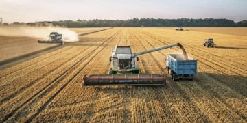 En Europa, la estrategia de sanciones está mostrando toda su miopía. Los precios de la gasolina y el trigo sufren aumentos estelares. La Comisión Europea ha revisado a la baja las perspectivas a corto plazo del mercado agrícola con la producción total de cereales en los 27 países, que se prevé alcance los 286,4 millones de toneladas, un 2,5% menos que en 2021/2022