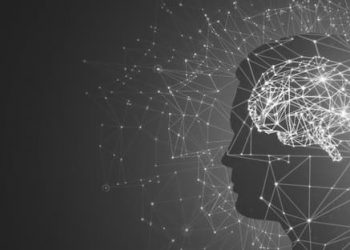 Cómo balcanizar los cerebros