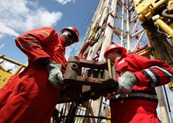 Petróleo y crecimiento económico en el país