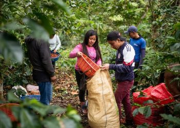 Para el FMI, dada la persistencia del conflicto en curso en Ucrania, lo peor está por venir: lo peor, por supuesto, vendrá para las clases populares, ciertamente no para el complejo militar industrial ni para los especuladores