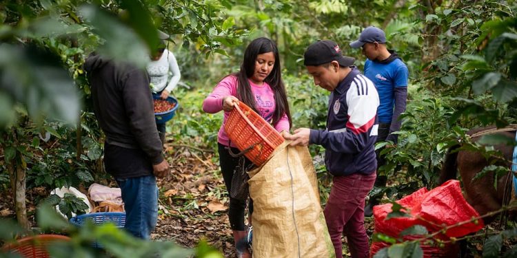 Para el FMI, dada la persistencia del conflicto en curso en Ucrania, lo peor está por venir: lo peor, por supuesto, vendrá para las clases populares, ciertamente no para el complejo militar industrial ni para los especuladores