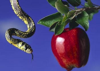 7 mitos de época anti corrupción