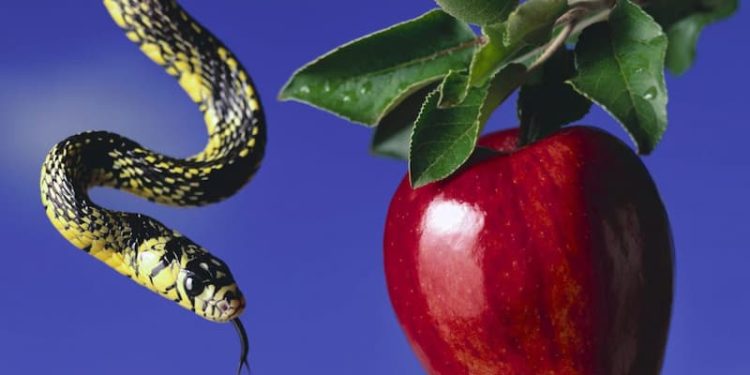 7 mitos de época anti corrupción 1 7 mitos de época anti corrupción