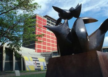 Miguel Alfonzo: “Debemos redimensionar a la UCV”