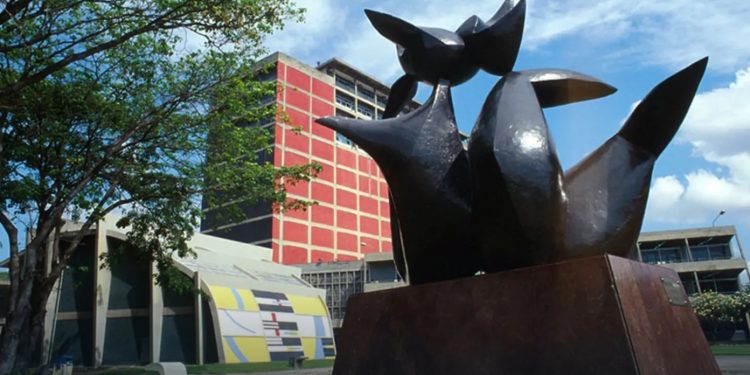 Miguel Alfonzo: “Debemos redimensionar a la UCV”