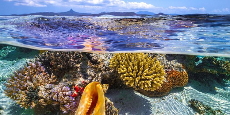 El robo de los mares a los países del Sur