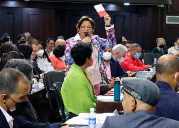 Asia Villegas Poljak: La AN produce leyes para atender necesidades concretas del pueblo