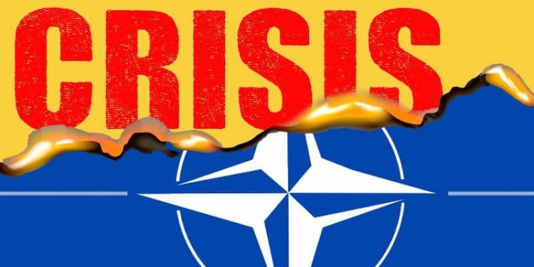 Francia enguarimbada