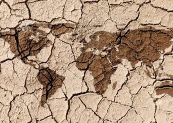 Un mundo en crisis, una tragedia en números