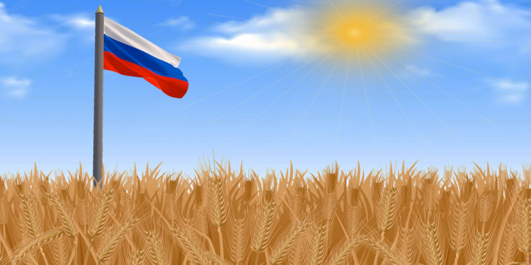 Geopolítica del trigo: Putin y el Sur Global