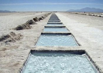 Tinta Cruda  Litio, federalismo bobo y represión