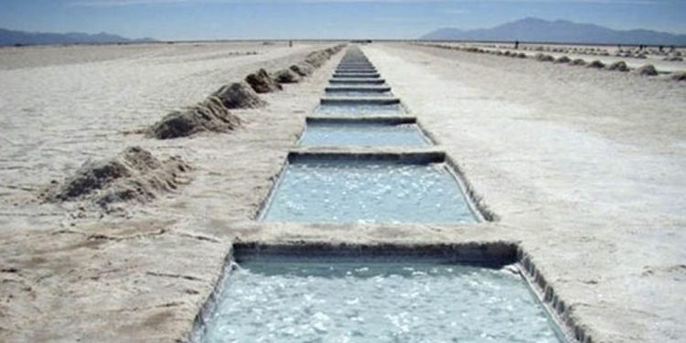 Tinta Cruda  Litio, federalismo bobo y represión