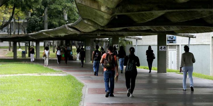Universidad, autonomía e ingresos propios