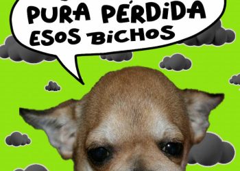 La derecha ladra, pero el pueblo no la sigue-1