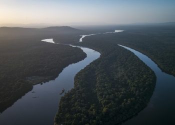 Rapiña sobre riquezas ajenas