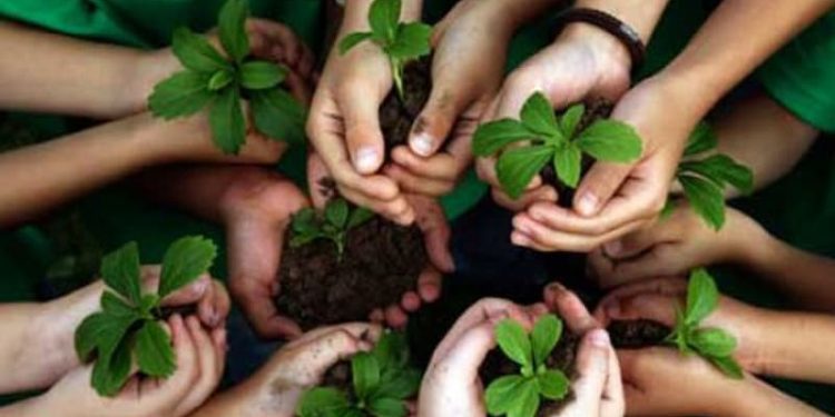 Una Juventud Ecologista para salvar a la humanidad