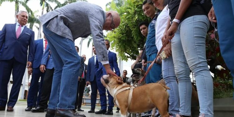 Ya casi! Ley para nuestros amigos fieles