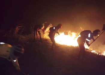 Incendios forestales: ¿La nueva guarimba?