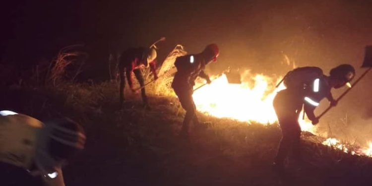 Incendios forestales: ¿La nueva guarimba?