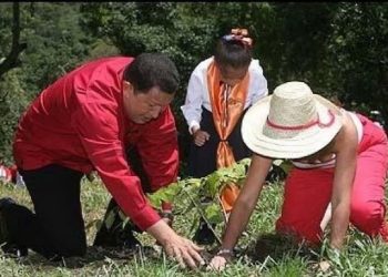 Qué nos queda - Lluvias y reforestación