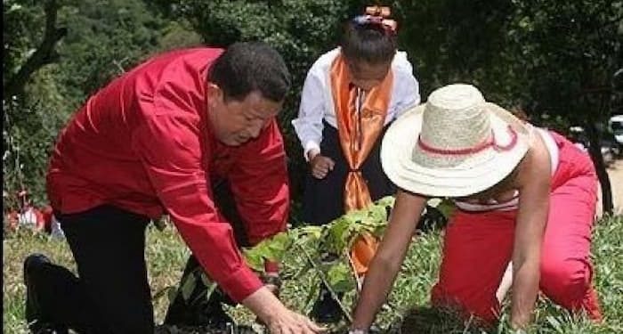 Qué nos queda - Lluvias y reforestación
