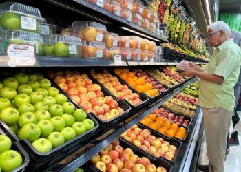 Primer semestre 2024 ratifica recuperación económica