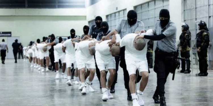 Jamás Estarán Solos