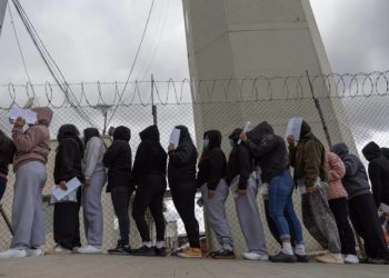 Verdades migratorias