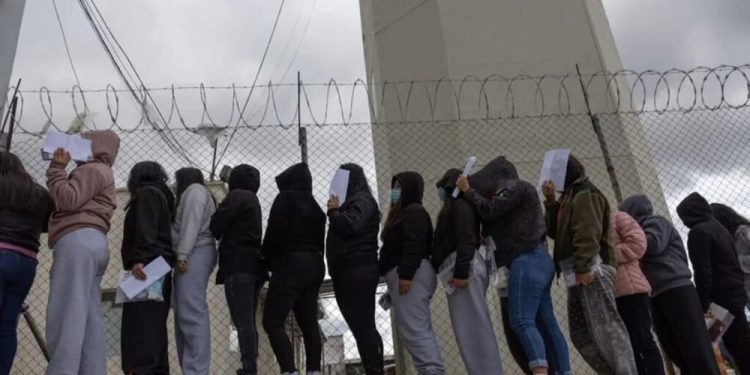Verdades migratorias