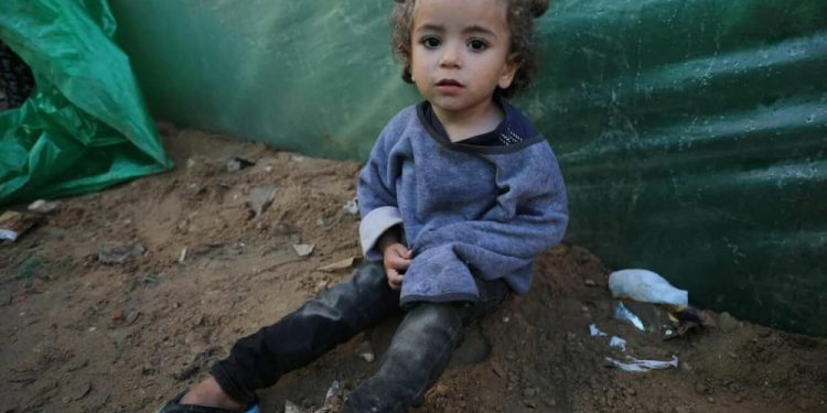 Tinta Cruda | Neoazismo en Gaza