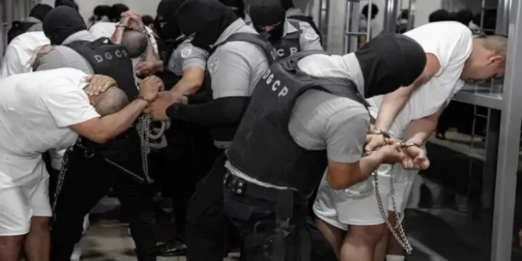 Laboratorio Bukele I