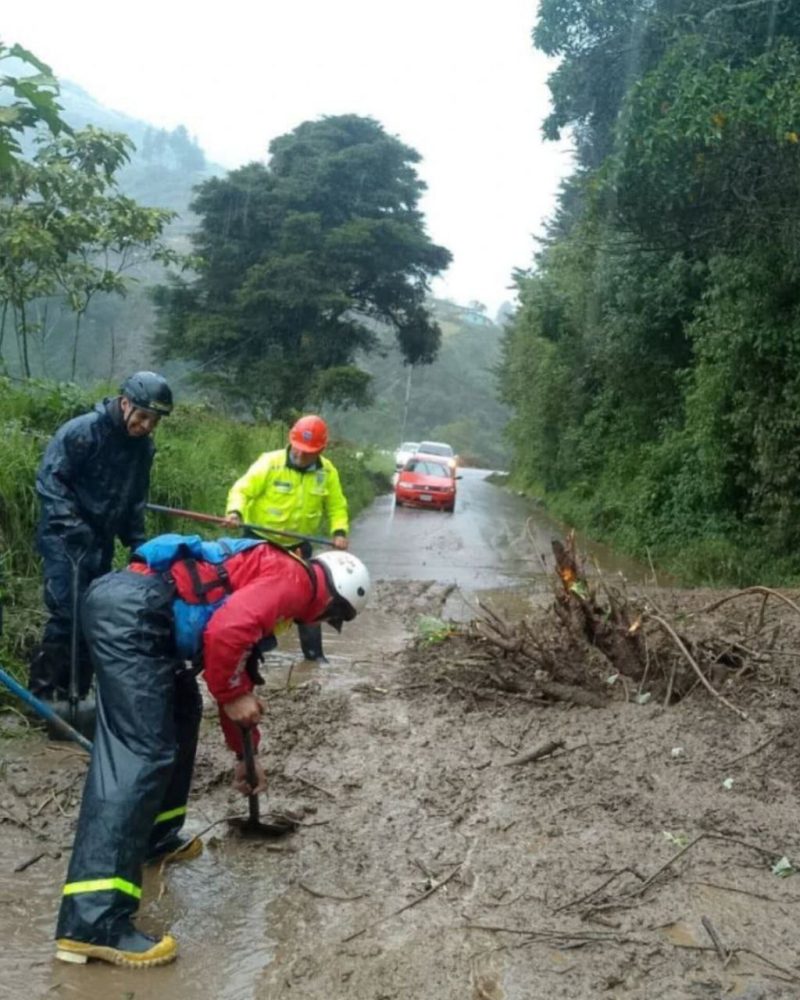 Gobierno Venezolano activa Fuerza de Tarea "Andes 2025" para atender emergencias en estados andinos 4 5109833729081192154