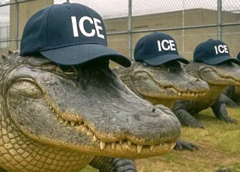 "Deberán aprender a escapar de caimanes" dijo Trump al inaugurar nuevo campo de concentración para migrantes 5 «Deberán aprender a escapar de caimanes» dijo Trump al inaugurar nuevo campo de concentración para migrantes