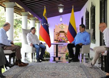 Se plantea un esquema económico de desarrollo en la región que permita la diversificación de los aparatos productivos; la conformación de encadenamientos productivos binacionales; la profundización del intercambio comercial