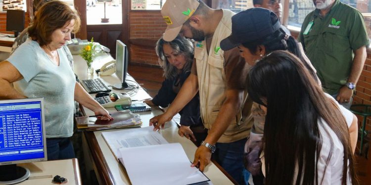 Paralizan actividades en 21 empresas del área forestal en Venezuela por manejo ilegal