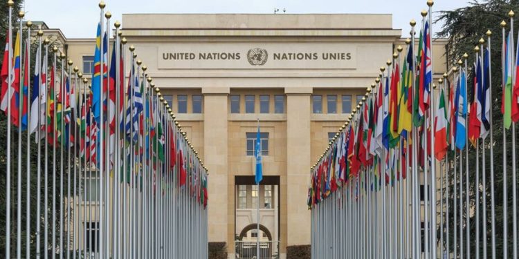 Jóvenes migrantes venezolanos denuncian en la ONU secuestro y torturas por gobiernos de El Salvador y Estados Unidos