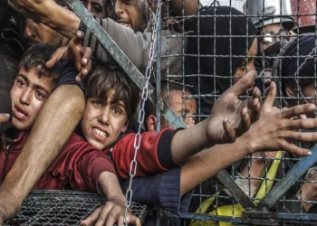 Unicef advierte: Más de un millón de niños en Gaza enfrentan hambre y sed extrema