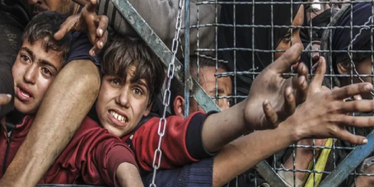 Unicef advierte: Más de un millón de niños en Gaza enfrentan hambre y sed extrema