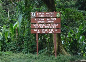 Controlado incendio en el Parque Nacional Henri Pittier