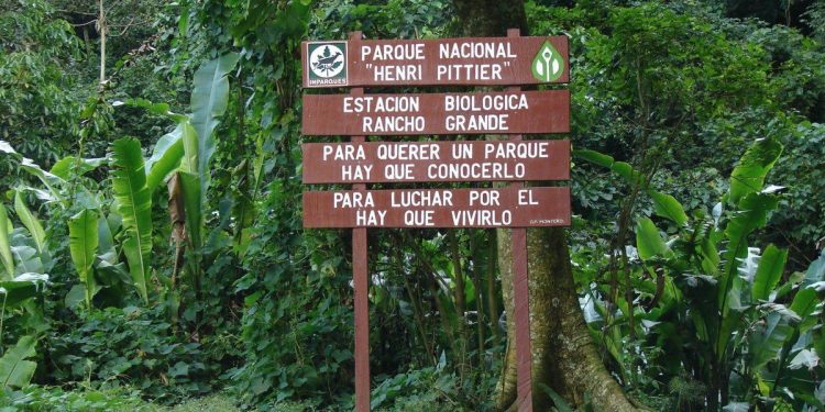 Controlado incendio en el Parque Nacional Henri Pittier
