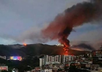 La bestia sin mascara