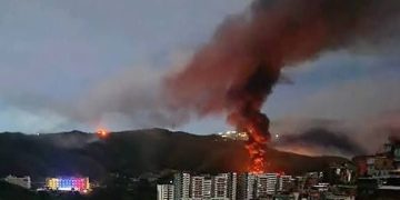 La bestia sin mascara