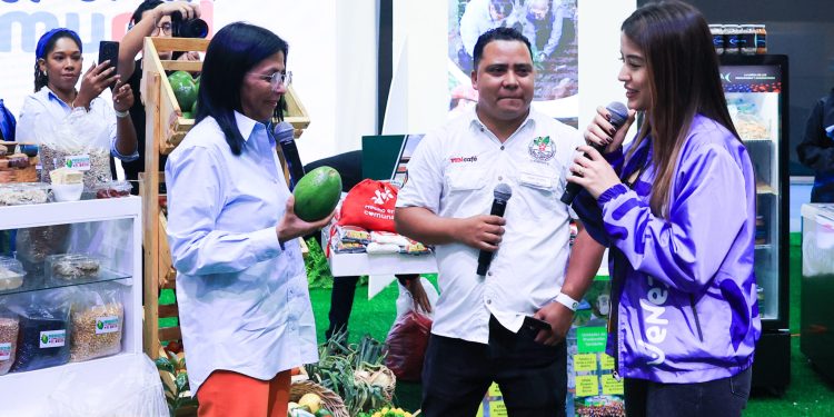 Aguacate de Yaracuy recibe Certificado de Indicación Geográfica Protegida en respaldo a la calidad y al productor nacional